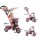 Smart Trike - Tricicleta Smart Trike 3 in 1 Zoo Galah